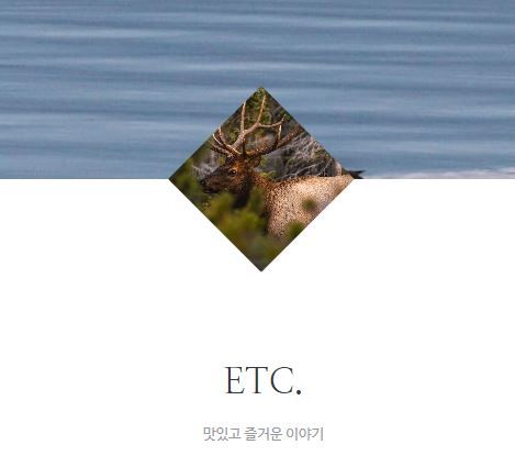 태상의 미니샵 바로가기로 확인하는 라이프스타일 정보의 품질