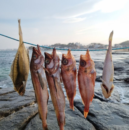 국산 반건조생선을 속초사이버장터에서 특별하게 즐기세요